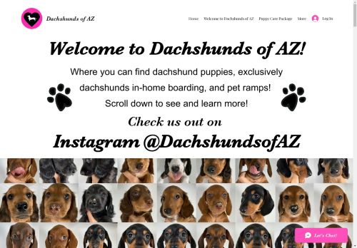 Dachshunds Of AZ capture - 2025-04-16 22:45:29