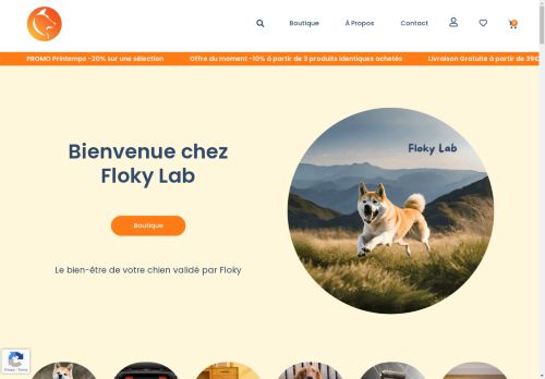 FlokyLab capture - 2025-04-16 23:50:24