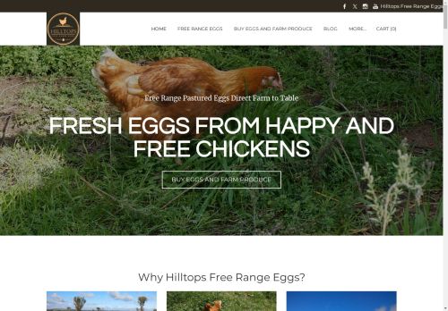 Hilltops Free Range Eggs capture - 2025-04-17 00:12:51