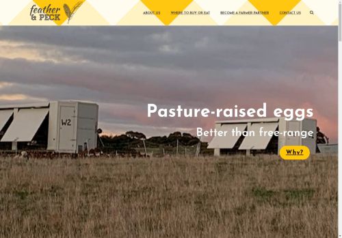 Feather and Peck capture - 2025-04-17 00:15:10