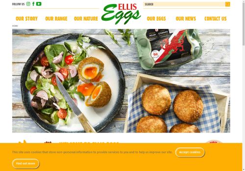 Ellis Eggs capture - 2025-04-17 00:16:39