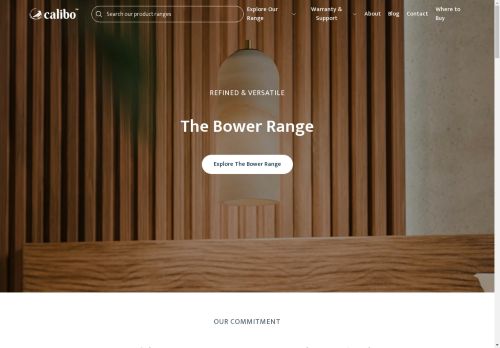 Calibo capture - 2025-04-17 00:18:56