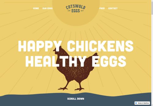 Cotswold Eggs capture - 2025-04-17 00:19:50