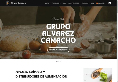 Alvarez Camacho S.L capture - 2025-04-17 00:24:25