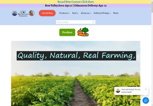 Britestone capture - 2025-04-17 00:39:49