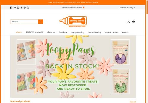 barking babies capture - 2025-04-17 00:44:29