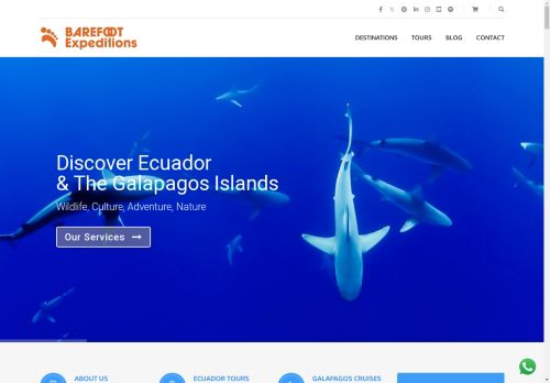 Barefoot Expeditions capture - 2025-04-17 01:08:27