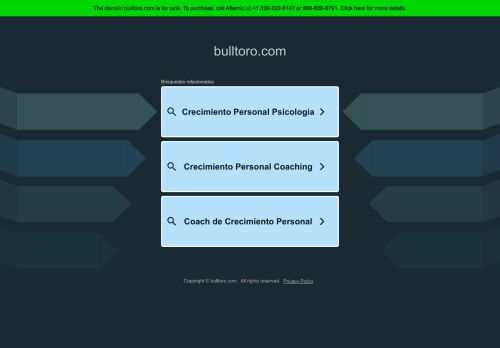 Bulltoro capture - 2025-04-17 01:14:53