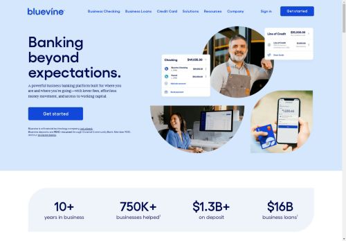 Bluevine capture - 2025-04-17 01:35:26