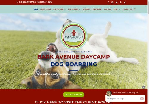 Bark Avenue Daycamp capture - 2025-04-17 02:02:31