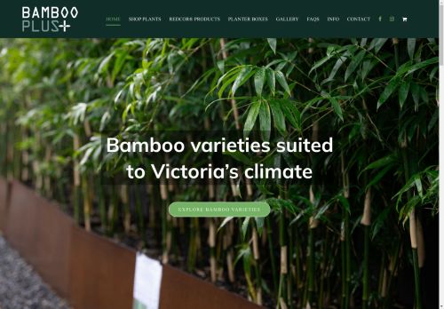 Bamboo Plus capture - 2025-04-17 02:05:58