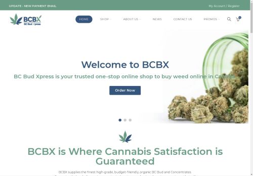 BC Bud Express capture - 2025-04-17 02:07:09