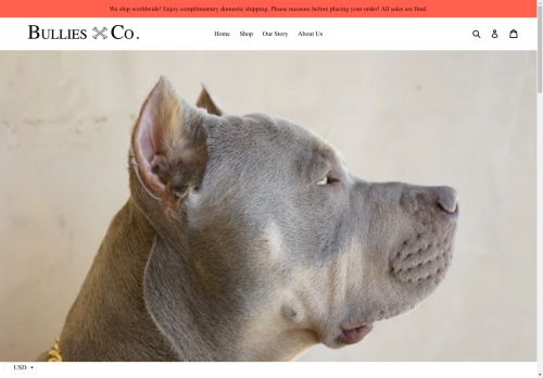 Bullies & Co. capture - 2025-04-17 02:39:38