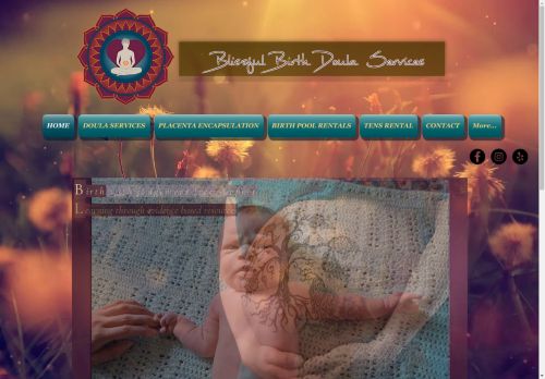 Blissful Birth Doula Services capture - 2025-04-17 03:15:40