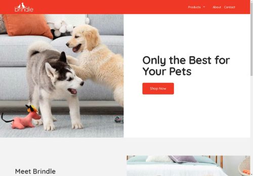 Brindle Pets capture - 2025-04-17 04:01:07