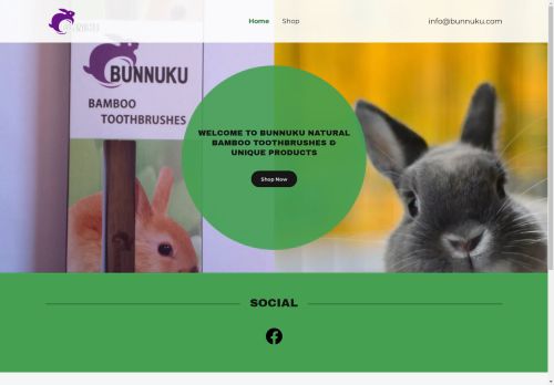 Bunnuku capture - 2025-04-17 04:04:02