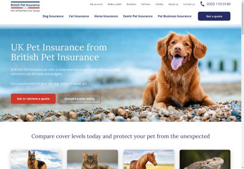 British Pet Insurance capture - 2025-04-17 04:58:16