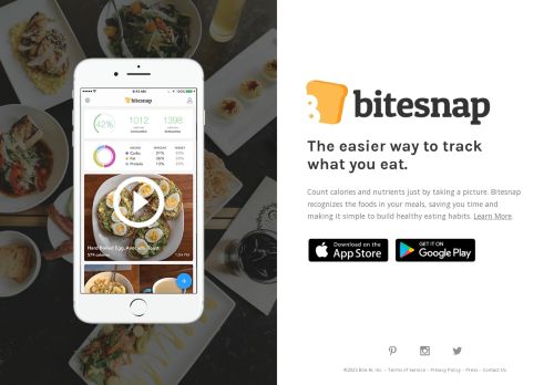 Bitesnap capture - 2025-04-17 05:16:26