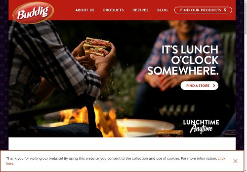 Buddig capture - 2025-04-17 05:20:08