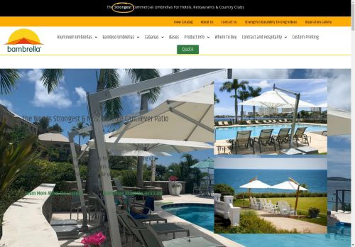 BambrellaUSA capture - 2025-04-17 05:24:06