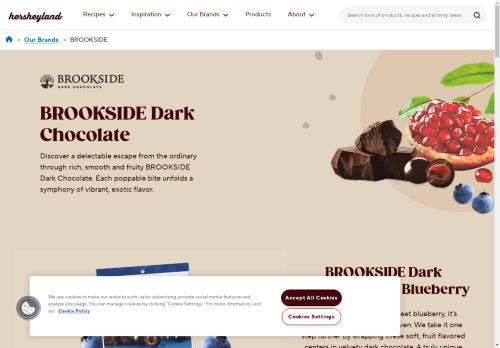 Brookside Chocolates capture - 2025-04-17 05:43:16