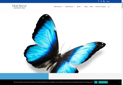 Blue Focus Marketing capture - 2025-04-17 05:45:49