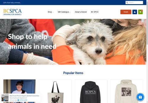 BC SPCA capture - 2025-04-17 06:21:14