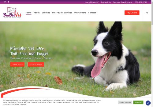 Budget Vet capture - 2025-04-17 06:28:01