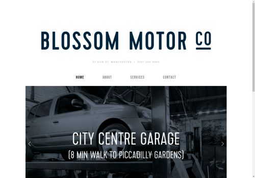 Blossom Motor capture - 2025-04-17 06:34:55