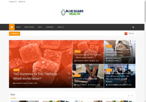 Blue Guard capture - 2025-04-17 06:48:05