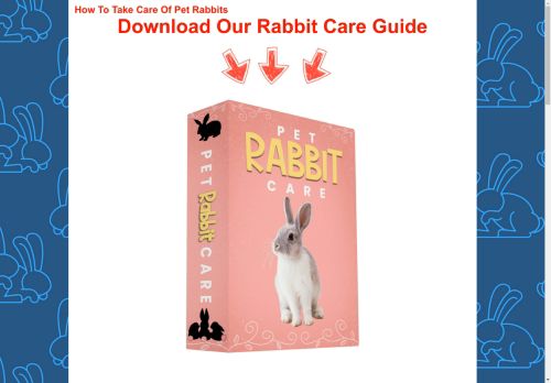 Bunny Supply Co capture - 2025-04-17 06:49:06