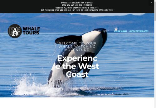 BC Whale Tours capture - 2025-04-17 07:15:15