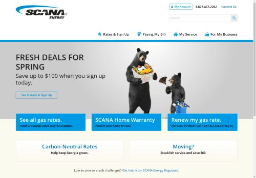 SCANA Energy capture - 2025-04-17 10:02:02