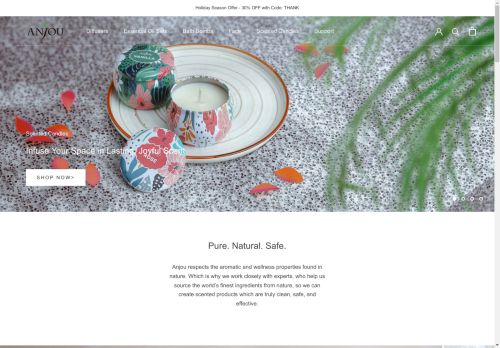 Anjou capture - 2025-04-17 10:31:48