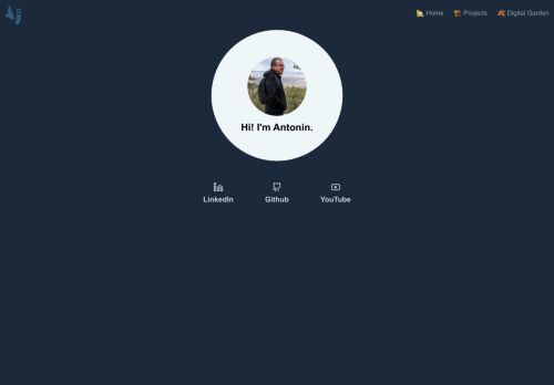 AntJanus capture - 2025-04-17 10:33:07