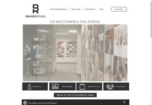 Ant Hill Retail Consulting capture - 2025-04-17 10:43:42