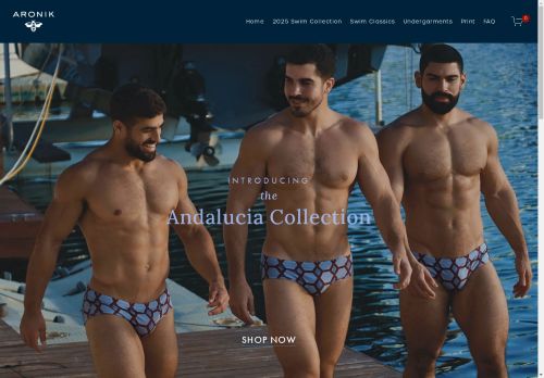 Aronik capture - 2025-04-17 12:36:55