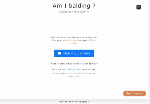 Am I balding capture - 2025-04-17 13:33:35