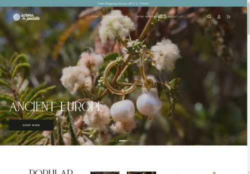 Across The Puddle capture - 2025-04-17 14:00:38