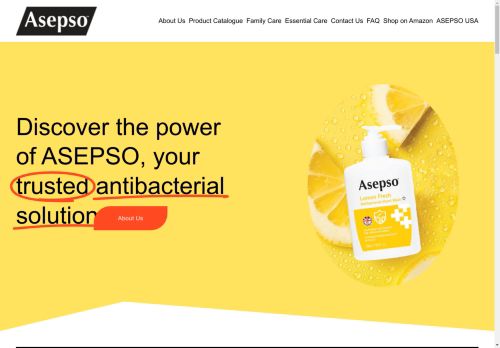 Asepso capture - 2025-04-17 14:58:56