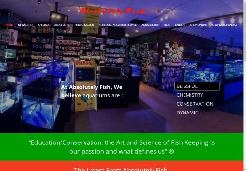 Absolutely Fish capture - 2025-04-17 16:51:58