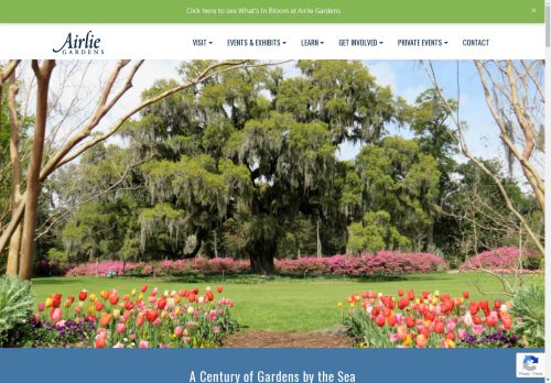 Airlie Gardens capture - 2025-04-17 17:04:31