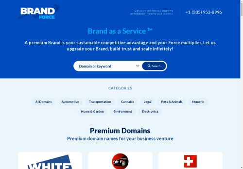 BrandForce capture - 2025-04-17 19:37:37