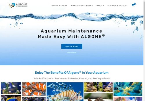 Algone capture - 2025-04-17 22:07:30