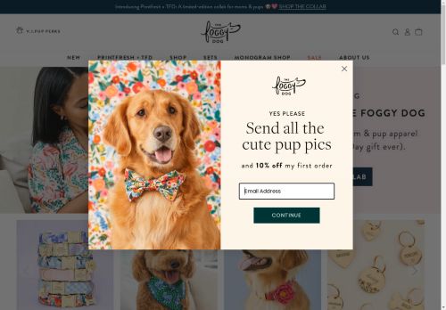 The Foggy Dog capture - 2025-04-17 22:28:17