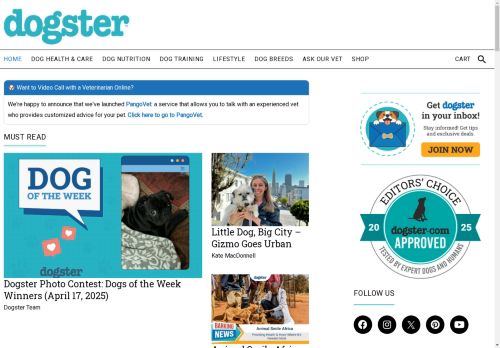 dogster capture - 2025-04-17 23:36:30