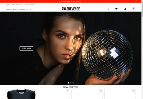 AVASREVENGE capture - 2025-04-18 00:55:41