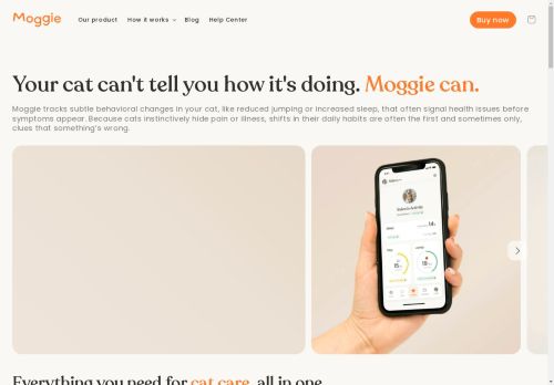 Moggie capture - 2025-04-18 22:41:16