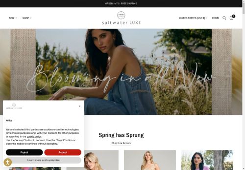 Saltwater Luxe capture - 2025-04-19 02:37:27