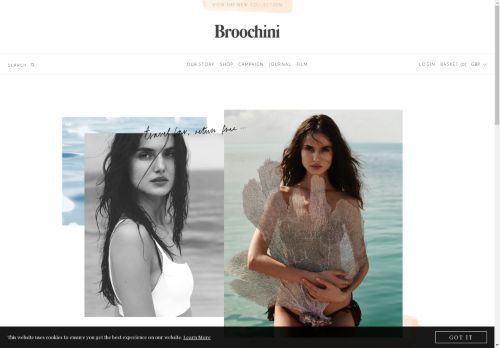 Broochini capture - 2025-04-19 05:04:44